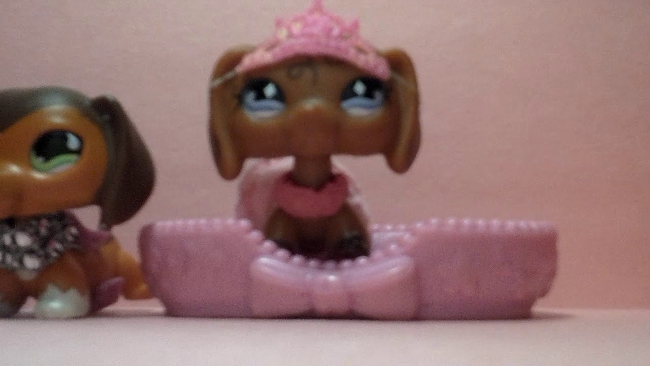 Lps try not to laugh challenge