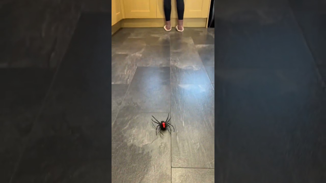 Robot Spider Prank 
