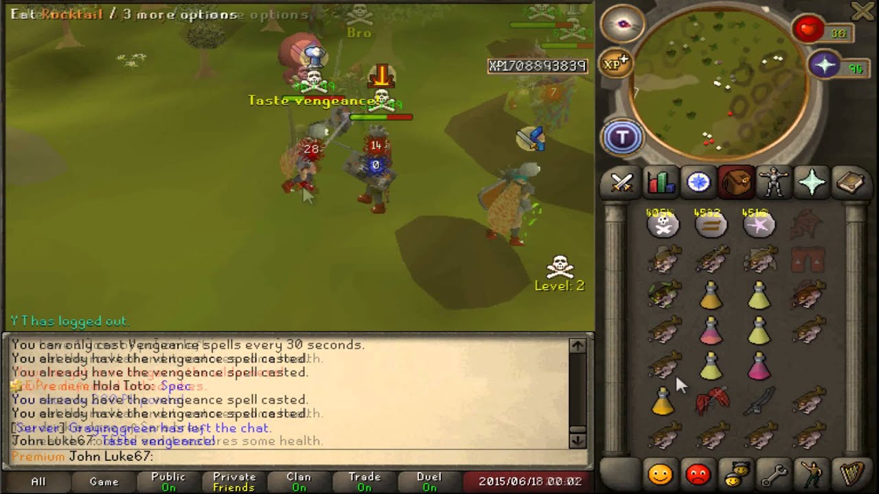 Near Reality 100% Risk Fight vid #2