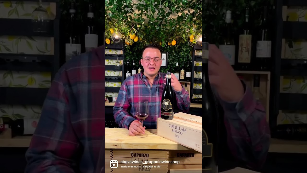 2016 Amarone della Valpolicella, Corte del Sole, DOC Veneto, 750ml, 16%