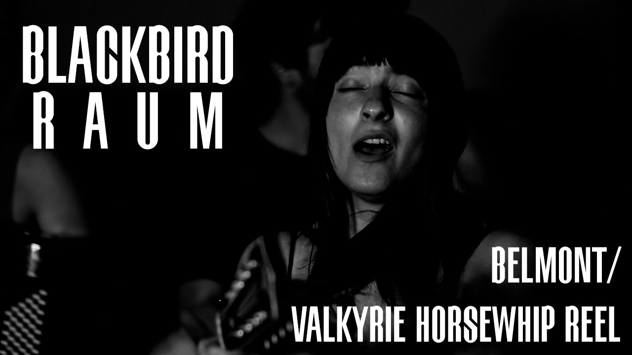 Blackbird Raum // Belmont/Valkyrie Horsewhip Reel (Session) | Mouser