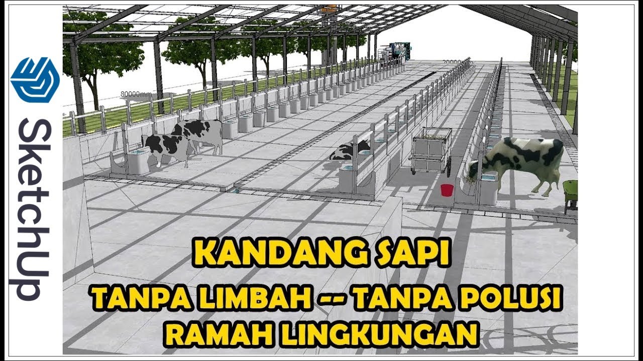 DESAIN KANDANG SAPI MODERN RAMAH LINGKUNGAN TANPA POLUSI CATTLE FARM