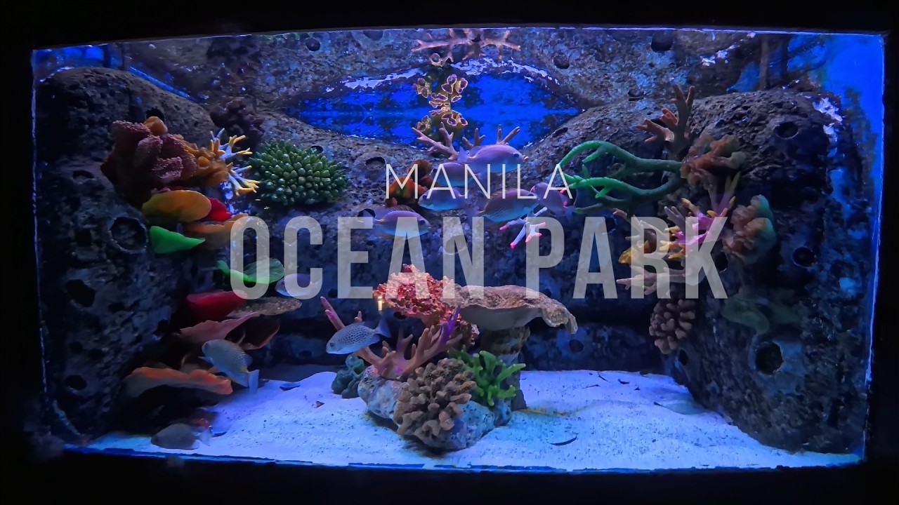 OCEAN PARK
