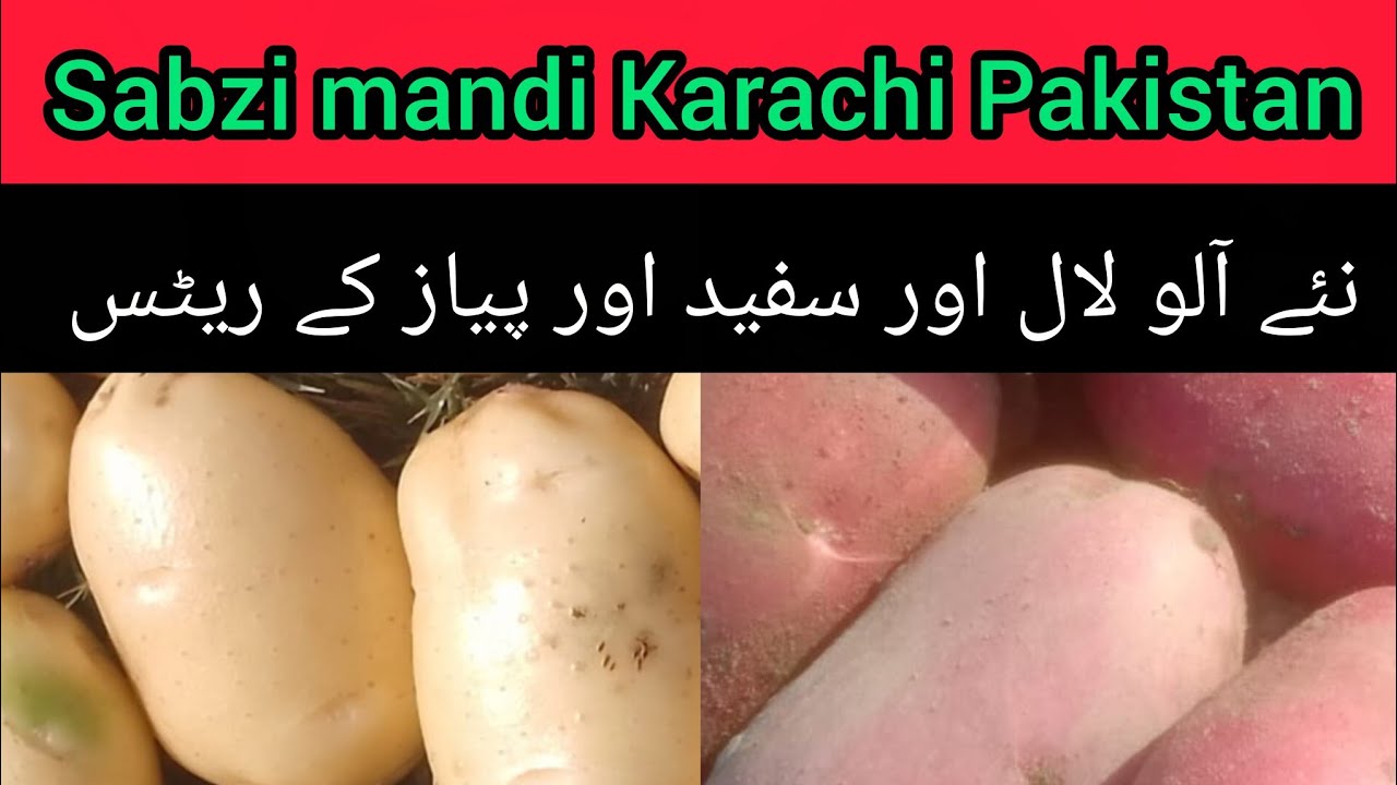 Sabzi Mandi Karachi Potato & Onion Prices Today | Live Wholesale Market Update 14 Feb 2026