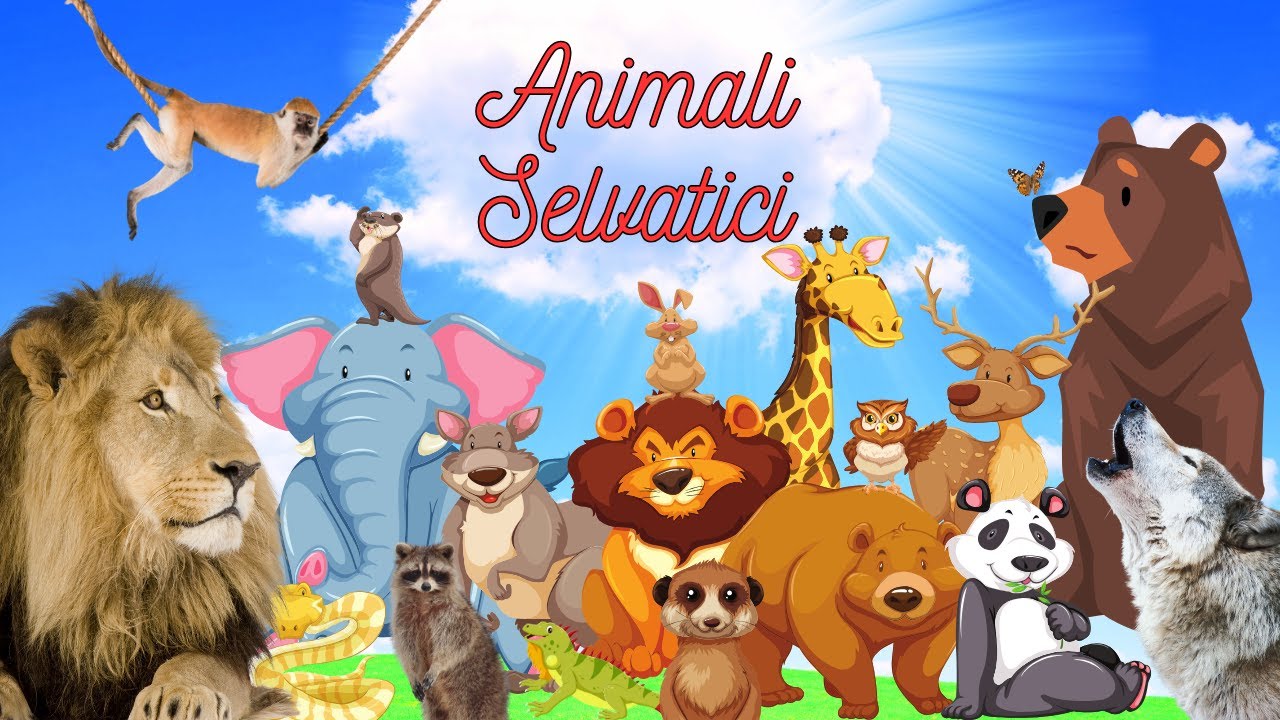 ANIMALI SELVATICI - WILDLIFE : Nomi, Caratteristiche, Suoni.