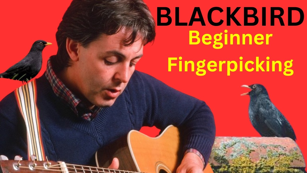 The Beatles Blackbird Accurate Yet Simple Beginner Fingerpicking Tutorial And Tips