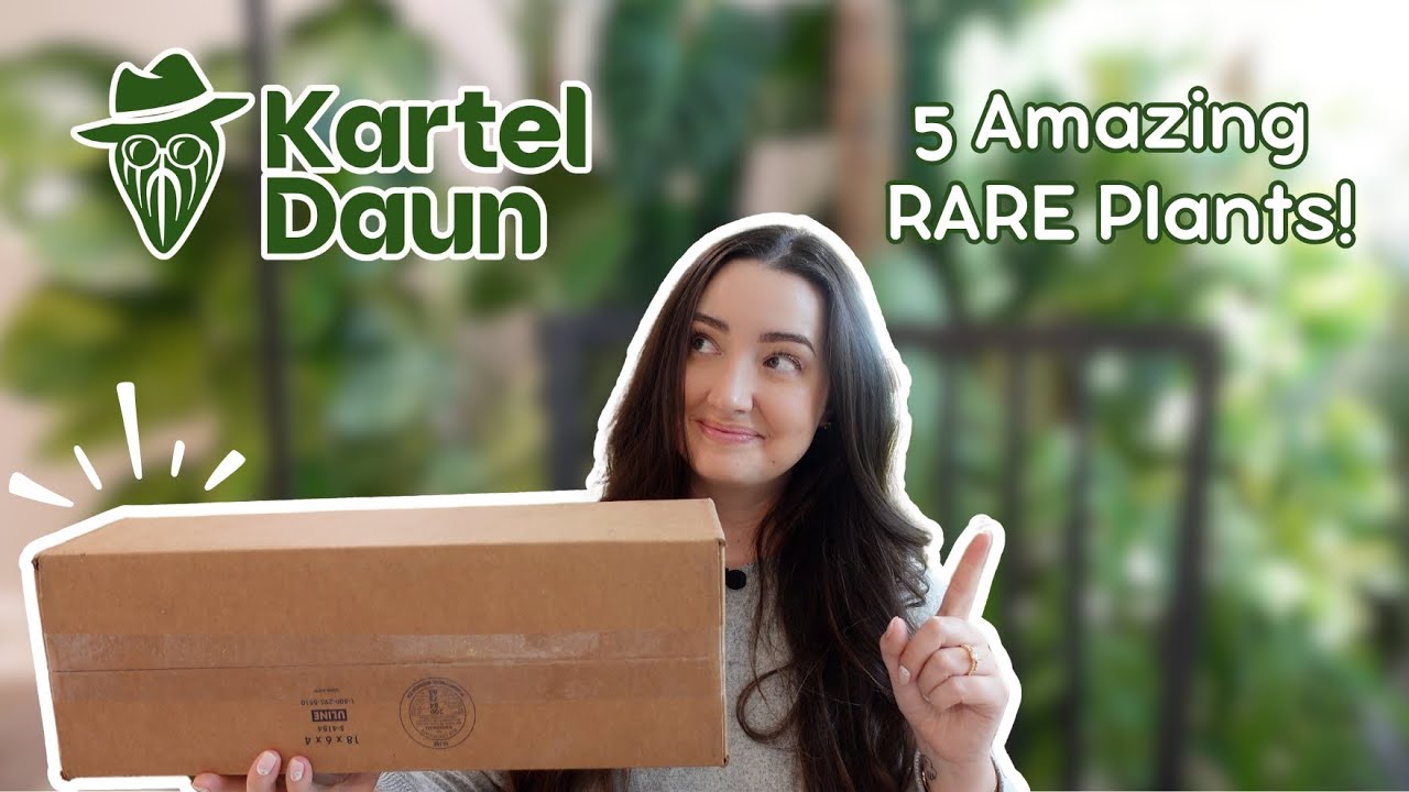 Surprise Unboxing From Kartel Daun! 5 Plants, Hoya & Anthurium 🌿