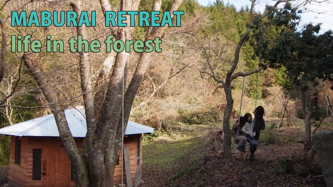 師走の何気ない一日　沢庵造り　紅葉の特殊伐採　山暮らし　田舎暮らし 　forest life　selfsufficient lifestyle  homestead