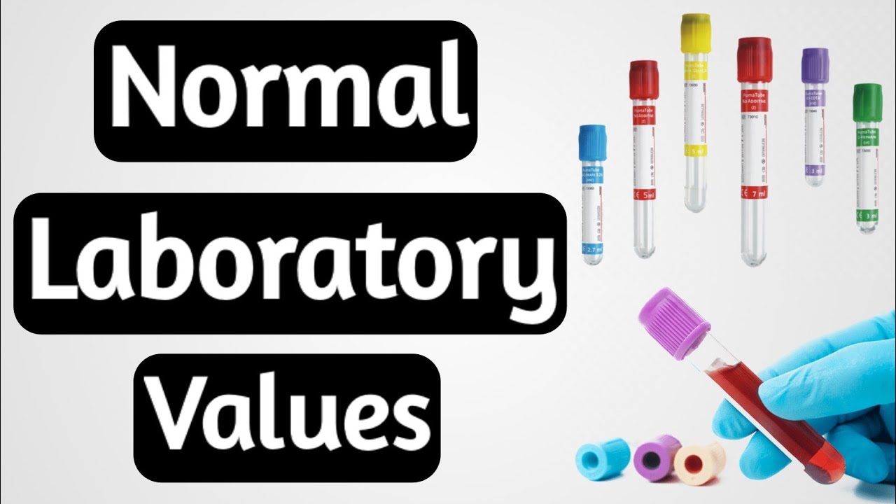 Normal Lab Values Nursing // Normal Value Of All Laboratory Test // Nursing Notes