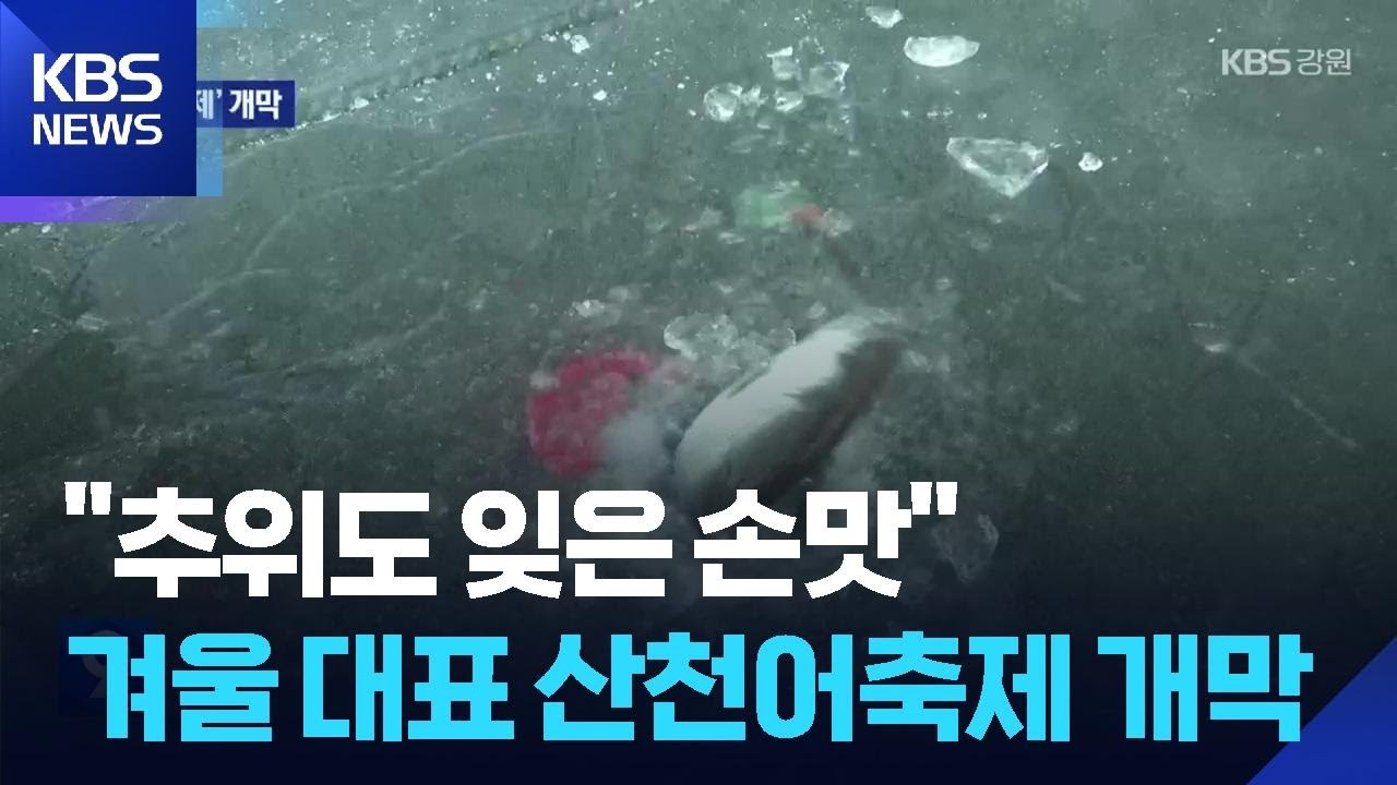 &ldquo;추워야 펄떡펄떡&rdquo;&hellip;겨울 대표 산천어축제 개막 / KBS  2026.01.11.