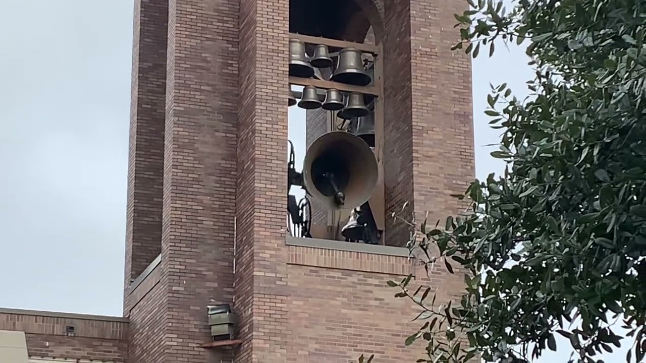 Single bell peal