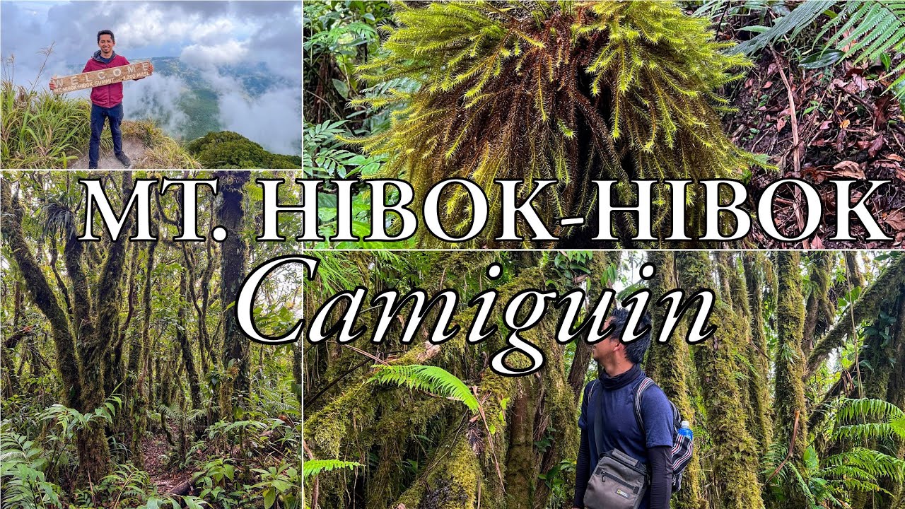 MT. HIBOK-HIBOK of CAMIGUIN