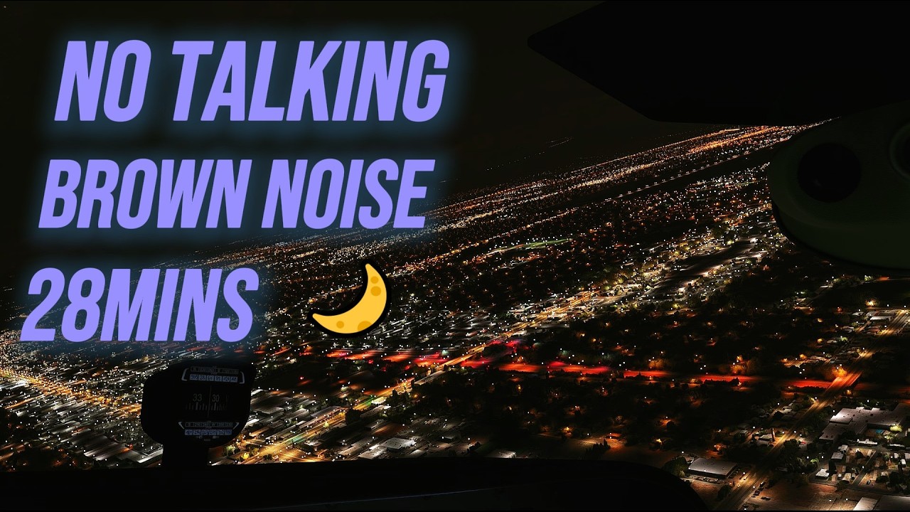 California Central Valley 🇺🇸 | Midnight City Lights | Sleep Aid | 1:1 SCALE | Cessna 172 Skyhawk