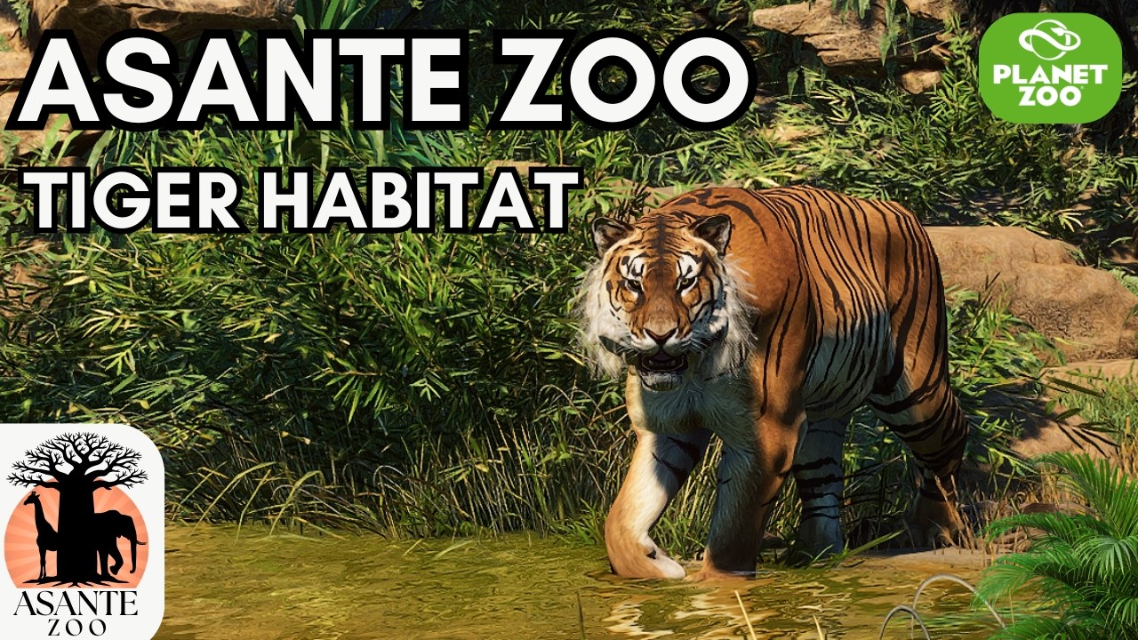 The FIRST BIG CAT habitat in ASANTE ZOO | Caspian Tiger