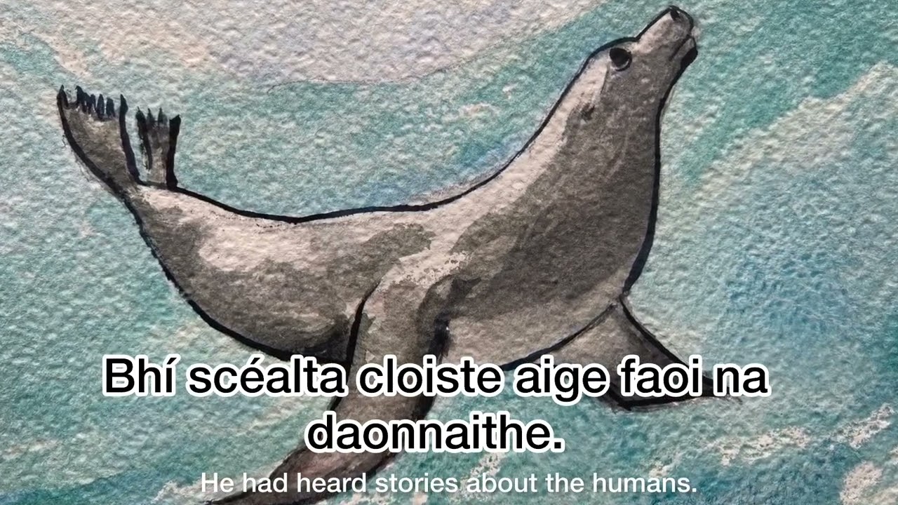An Rón Fiosrach - The Curious Seal
