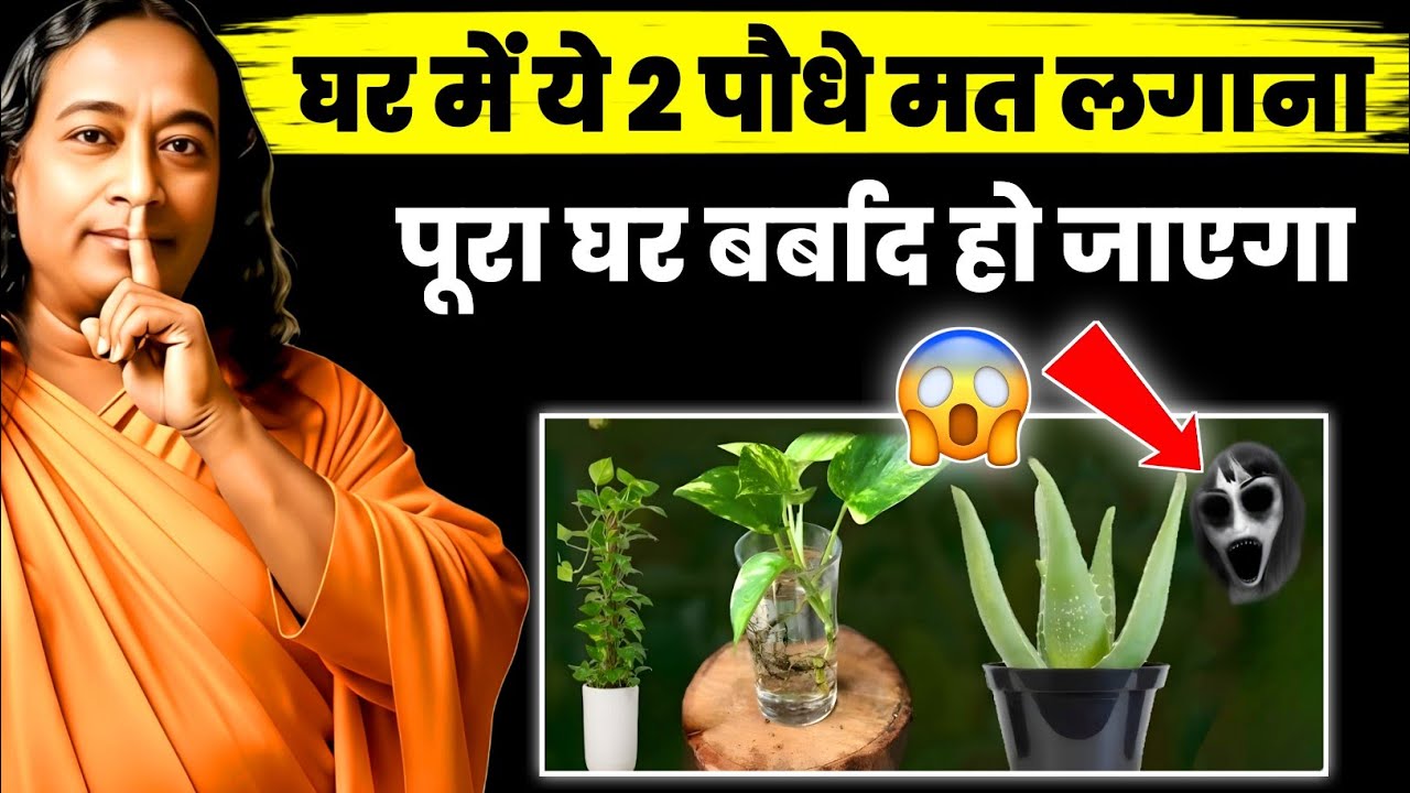घर में ये पौधा लगा है? तुरंत चेक करो… 90% लोग इसके असर से अनजान हैं!