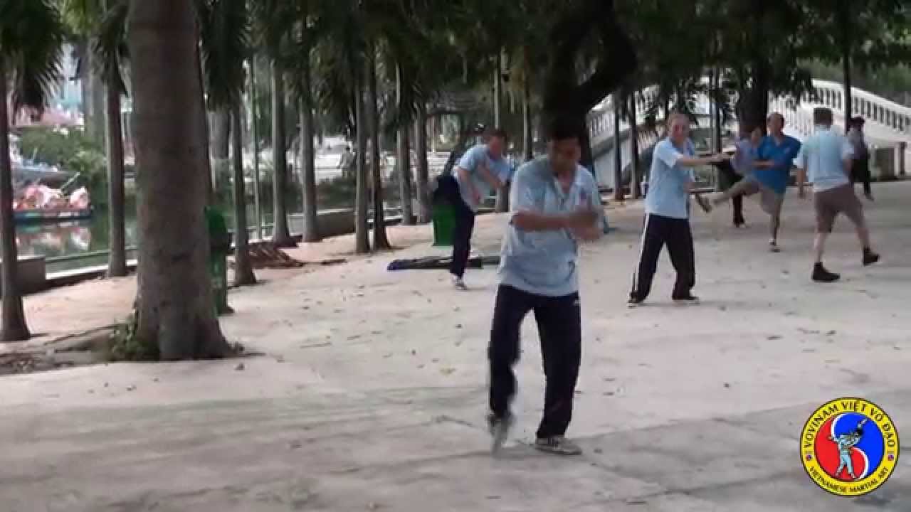 Vovinam Viet Vo Dao, the Vietnamese martial art - English