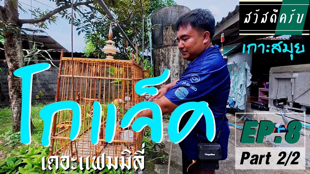 รายการสวัสดีครับ EP.8 (2/2)โกแจ็ค เดอะแฟมมิลี่