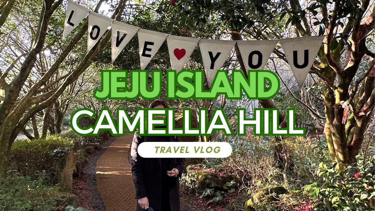 Camellia Hill Jeju Island | Jeju Island Vlog