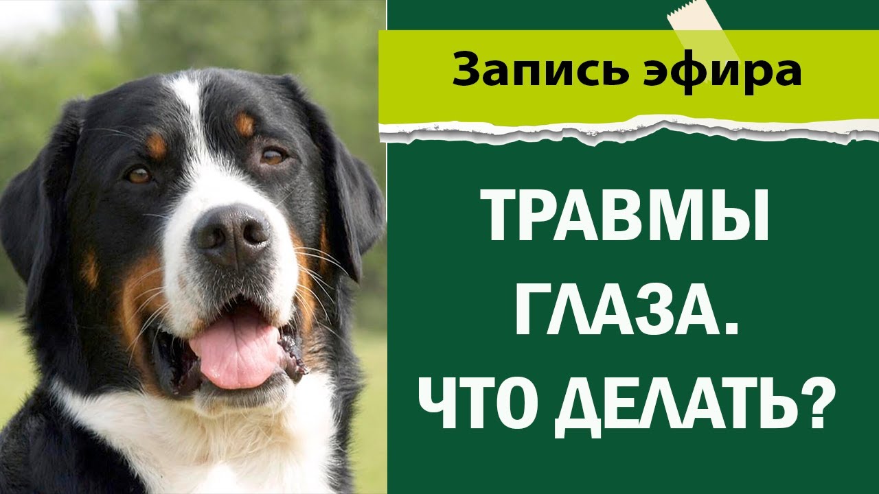 Мы расскажем, что делать после травмы глаз