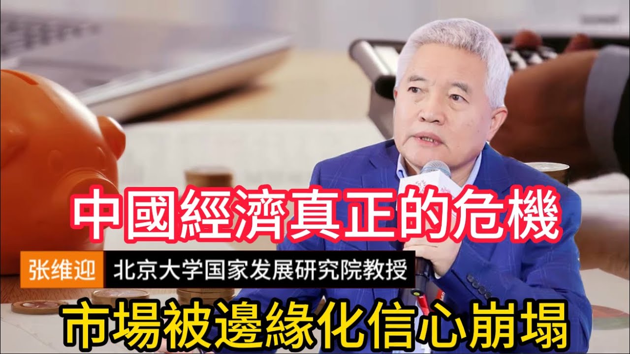 【张维迎重磅警告】中国经济真正的危机，不在增长而在制度，当市场被怀疑、企业失去信心，增长还能从哪里来？#张维迎 #中国经济 #制度改革 #市场机制 #企业家精神 #民营经济 #中国楼市 #房地产危机