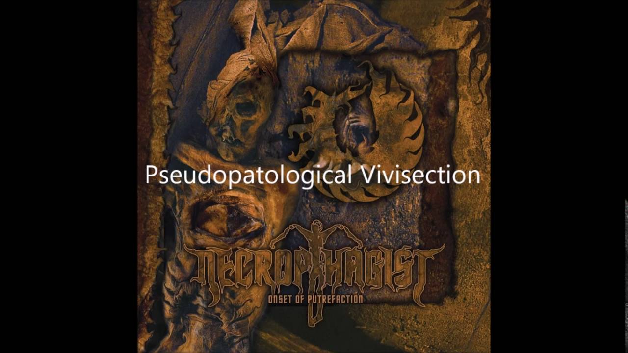 All Necrophagist Solos