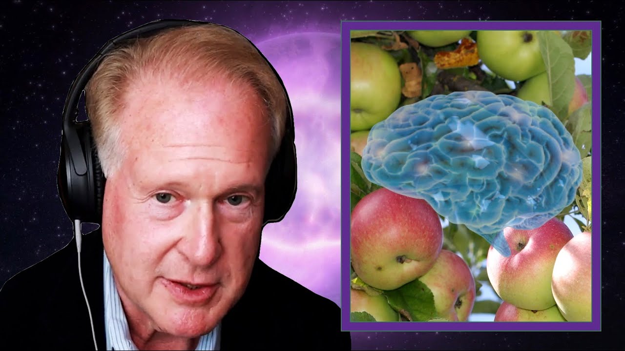 Dr. Robert Lustig on Obesogens, Processed Foods, and Addiction