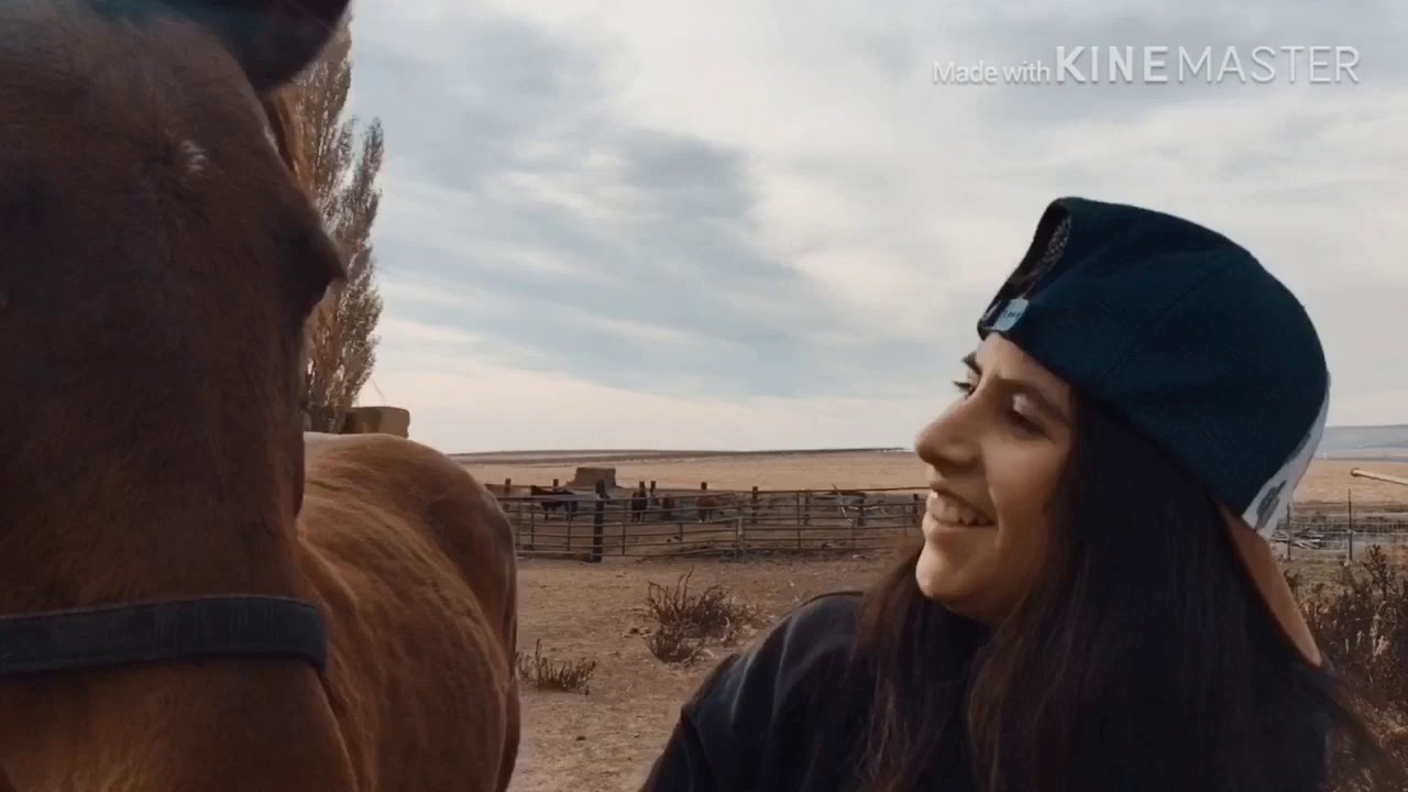 Painting my horse (Indian style)