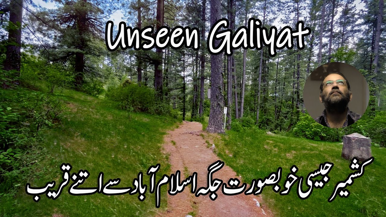 Exploring the Unseen Galiyat | Lipa Hut Murree | Bhurban | Gharial Camp