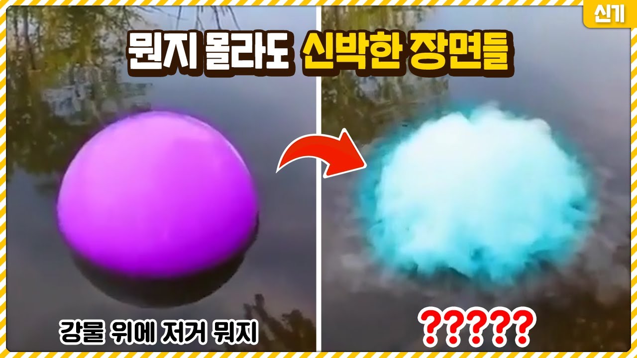뭔지 몰라도 넋 놓고 끝까지 보게 되는 신박한 장면들ㄷㄷ