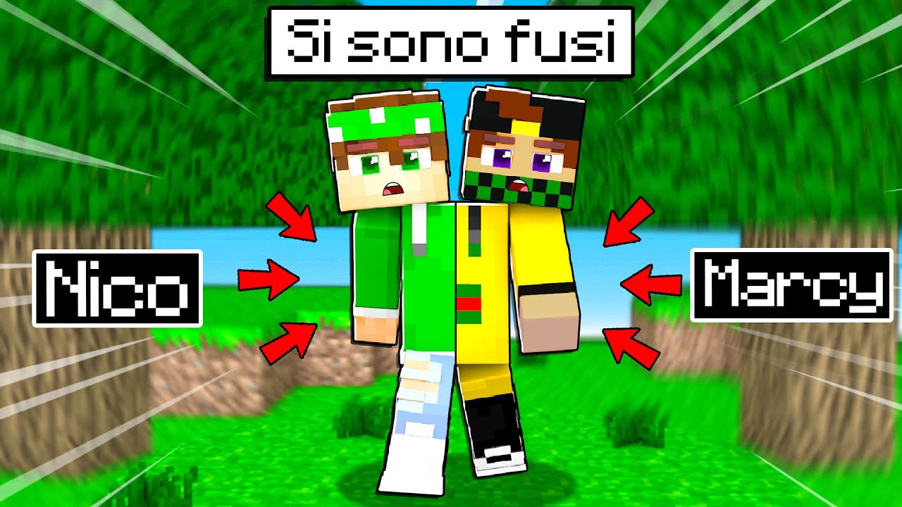 NICO E MARCY SI SONO FUSI SU MINECRAFT!