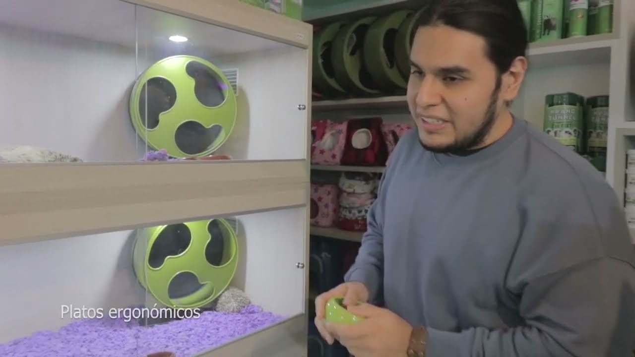 La casa perfecta del Erizo 2