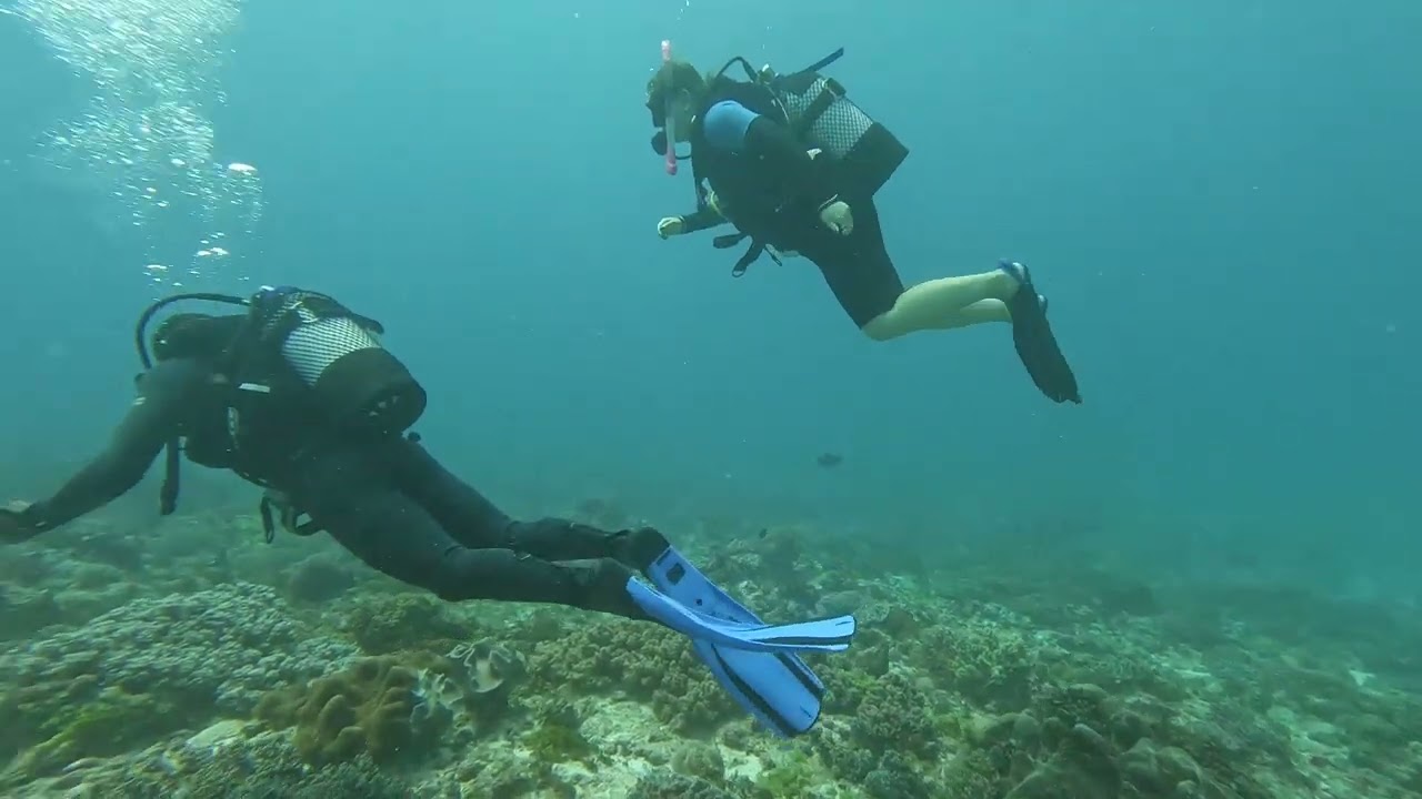 PADI Open Water Dive 3 - Scuba diving Jambiani, Zanzibar
