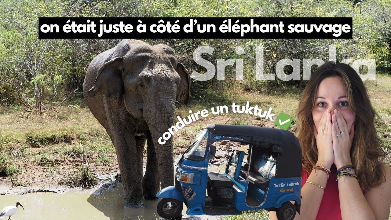 Cette route est aussi incroyable que dangereuse, on y va en tuk tuk 😳🐘 - Éléphants au Sri Lanka ✅