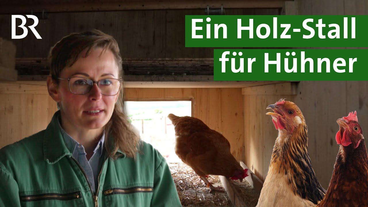 St&auml;lle aus Holz: Besseres Klima, mehr Tierwohl, aber mehr Keime? | Tierhaltung | Unser Land | BR