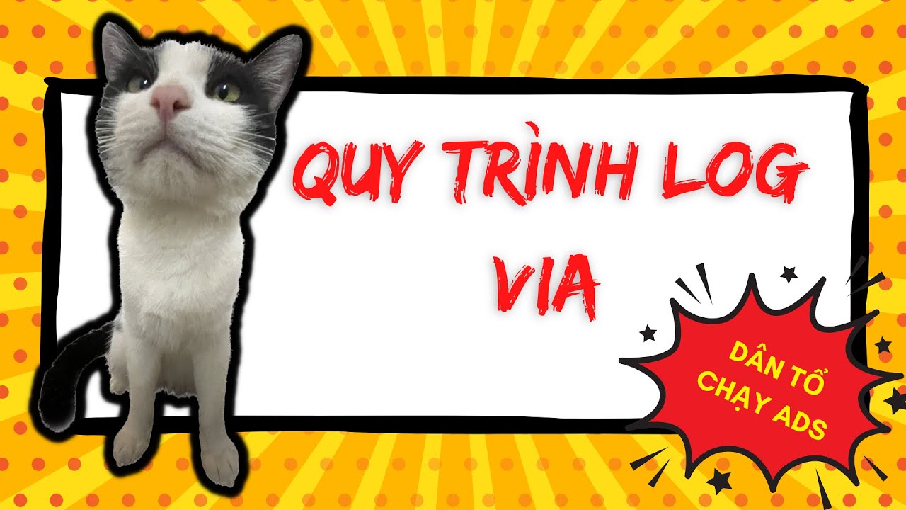 Log Via - Quy tr&igrave;nh đăng nhập Via  - Bee Học Bơ H&agrave;nh