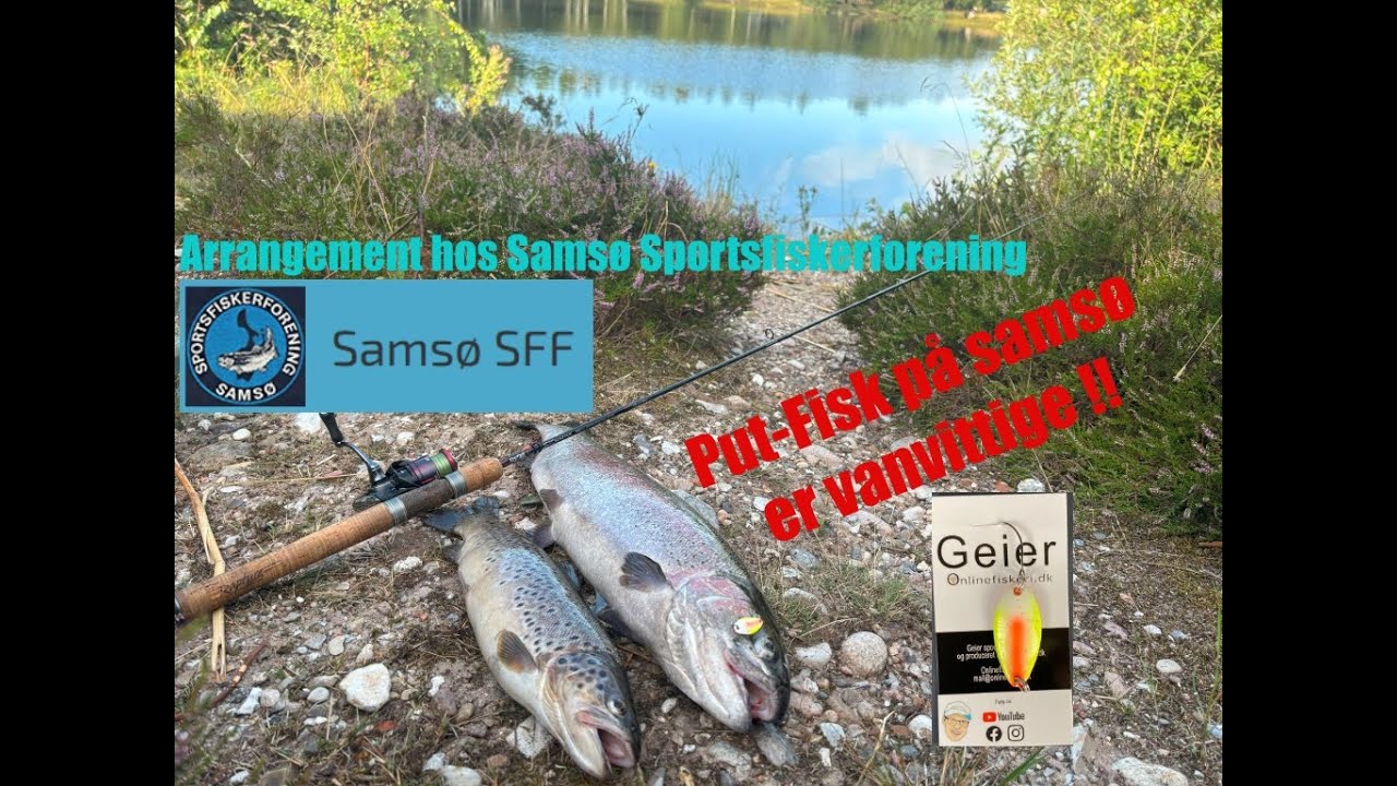Fisker sammen med Samsø Sportsfiskerforening - Vildt fedt arrangement