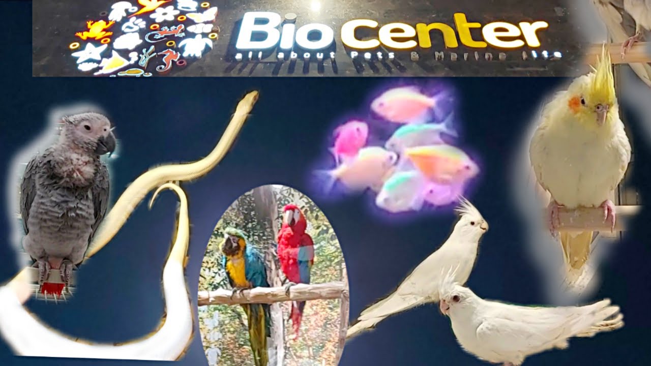 Bio Center Dammam | All about Pets & Marine life | Family & Kids