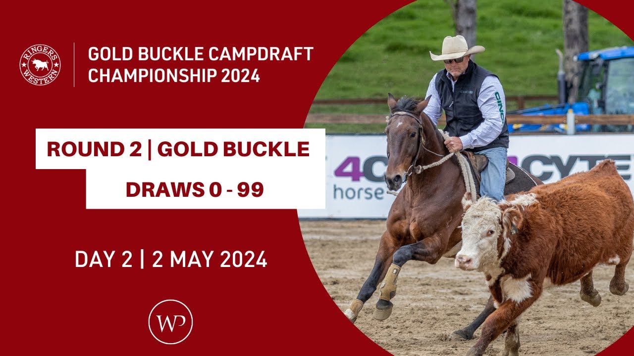 ROUND 2 | Ringers Western Gold Buckle Campdraft Championship 2024 | Draws 0 - 99