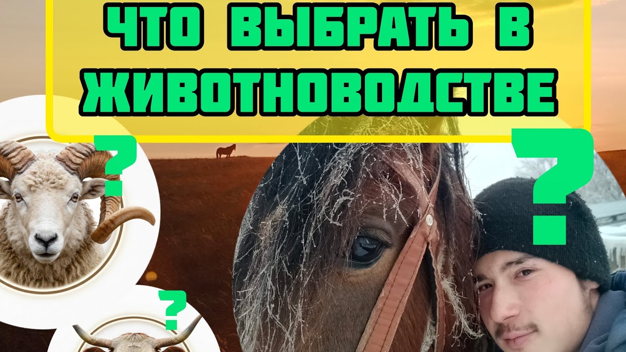 26 февраля 2026 г.
