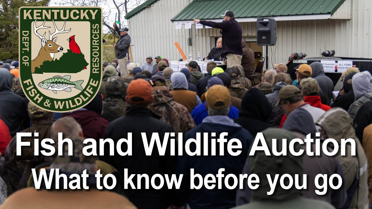 Fish and Wildlife Auction - What to know before you go.