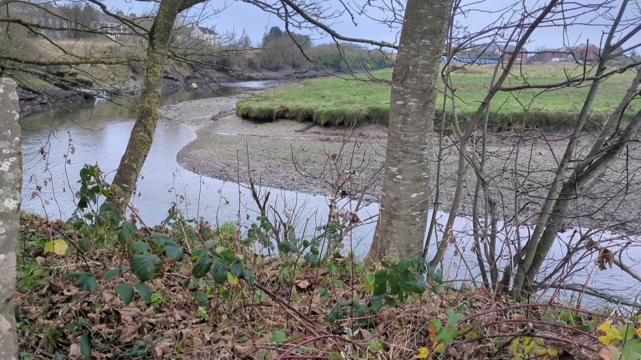 Down By The River - ASMR #mentalhealth #asmr #relaxing #riversounds