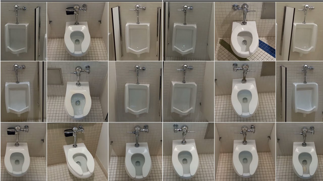Lone Star College Restrooms