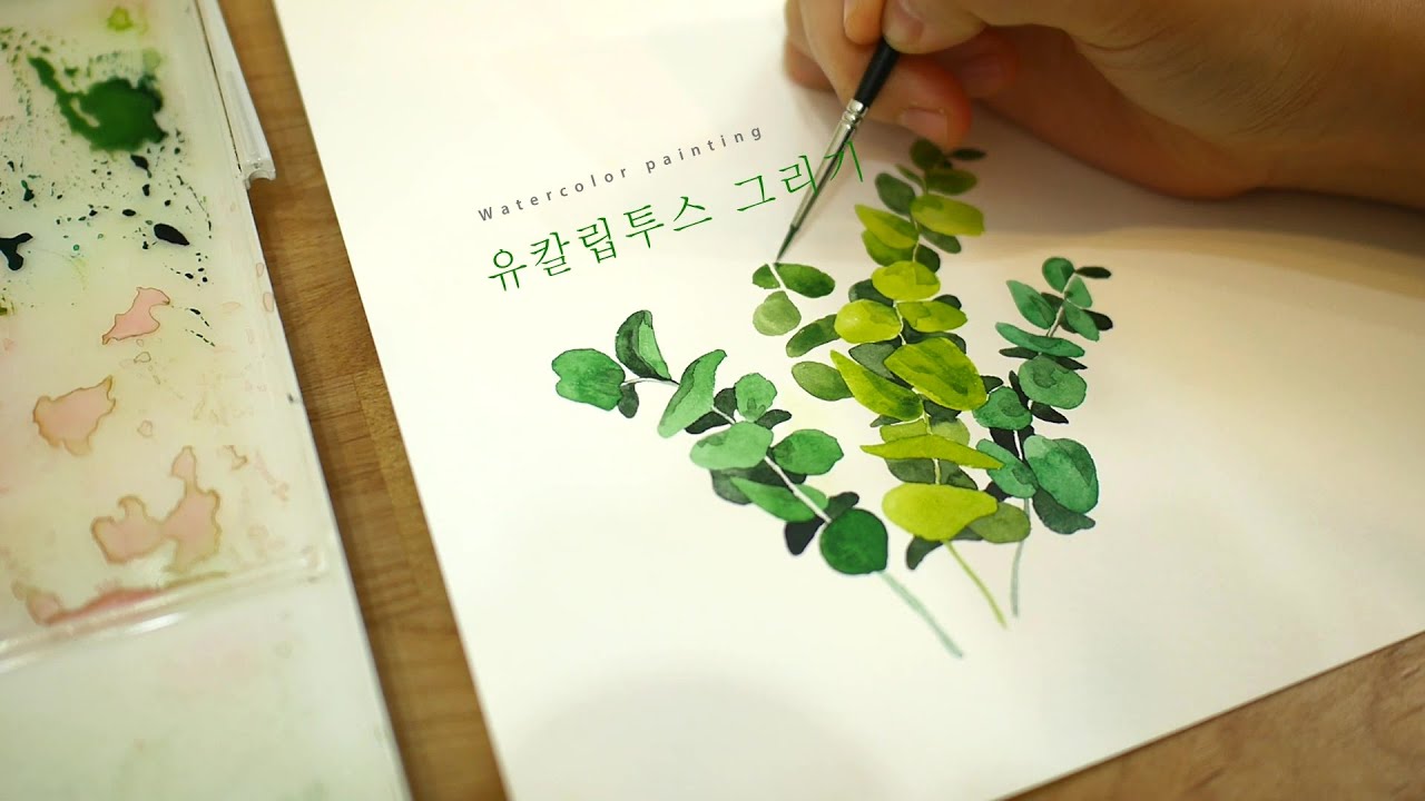 Eucalyptus Watercolor Painting - 유칼립투스 수채화 그리기