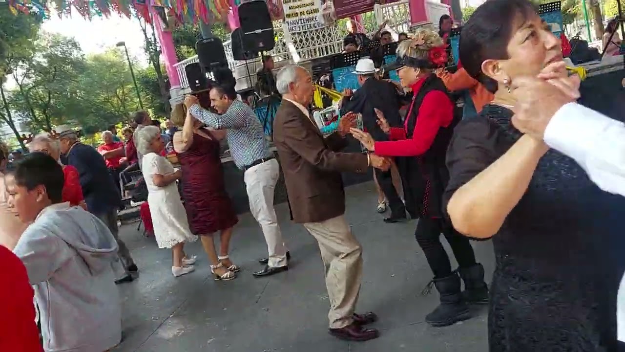 DANZONERA AMÉRICA CON MI AMIGO EL DJ. SR FIERRO* ASÍ SE BAILA  EN JARDÍN HIDALGO AZCAPOTZALCO 20/DIC