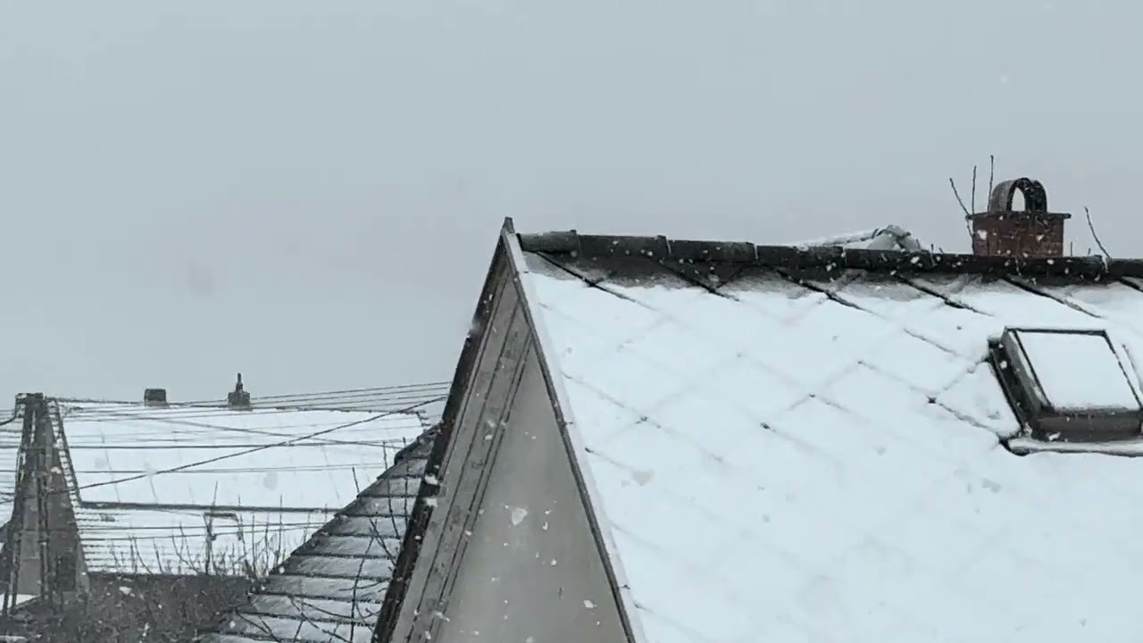 Snowfall In Winter 2025-2026 (2026.02.20.)