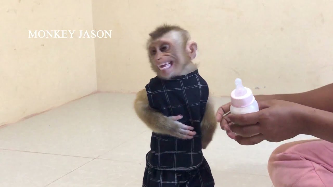 Little Jason Crying After Wearing New Outfit