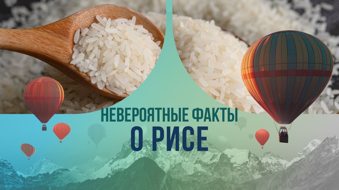 Невероятные факты о рисе. Как его превратили в туристическую достопримечательность?
