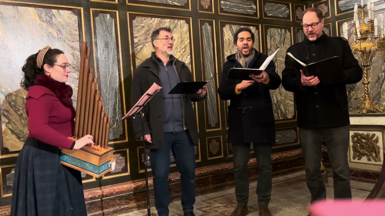 Rondellus Processit in capite - Rue des Chantres + Cristina Alís Raurich