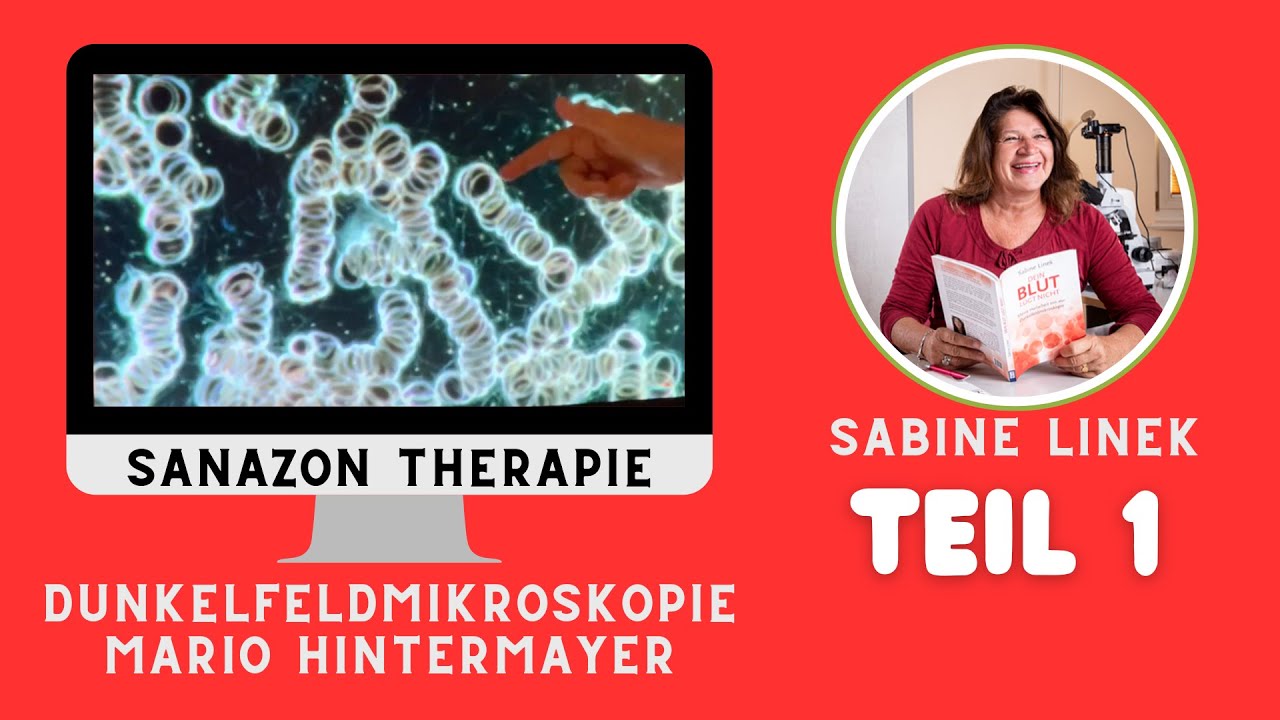 SanaZon Dunkelfeld Diagnose 1 & 2 von Mario Hintermayer durch Sabine Linek